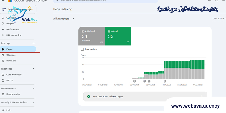 بخش Page در سرچ کنسول